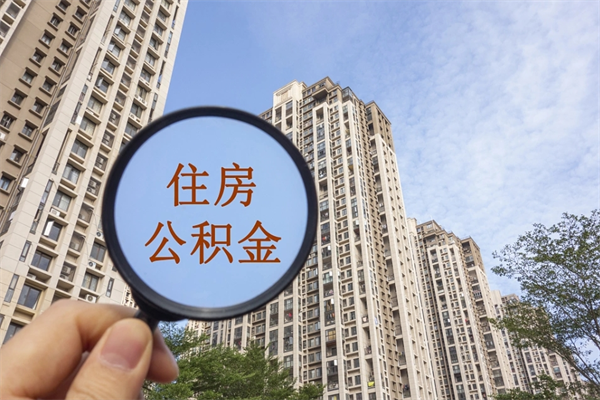 沛县深圳公积金（深圳公积金首页）